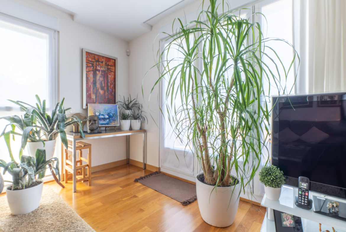 DUPLEX EN MANUEL VAZQUEZ MONTALBAN – AIETE