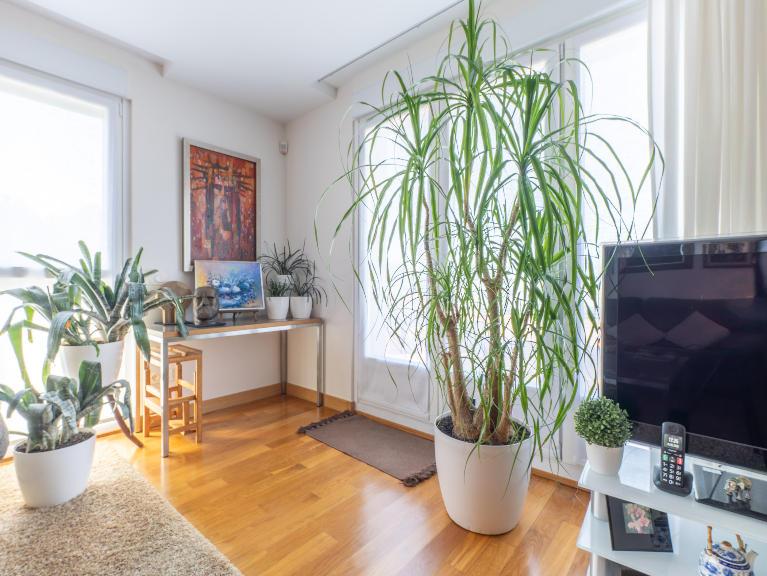 DUPLEX EN MANUEL VAZQUEZ MONTALBAN – AIETE
